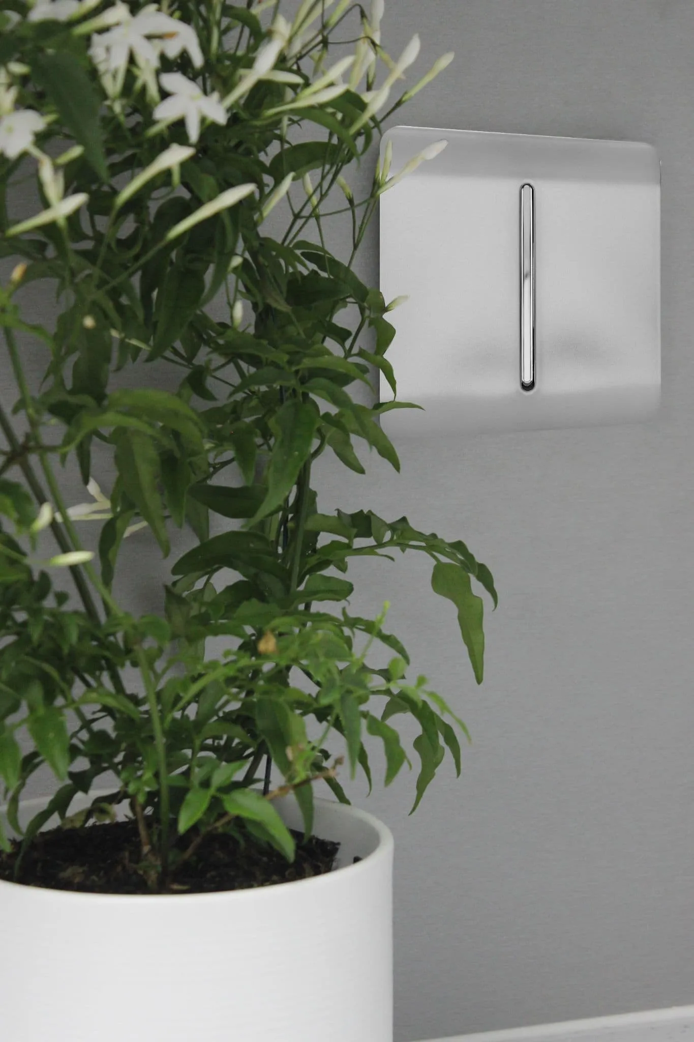Brushed Steel Wiring Accessories Trendi Decorative Screwless Brushed Steel Wiring Accessories Trendi Decorative Screwless
